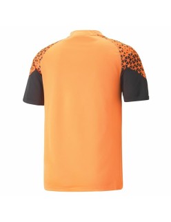 Men's Short-sleeved Football Shirt Puma Individual Cup Training