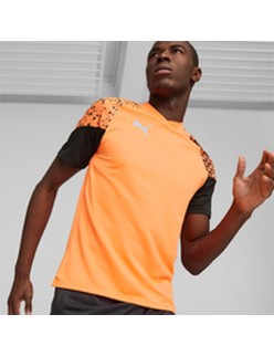 Men's Short-sleeved Football Shirt Puma Individual Cup Training