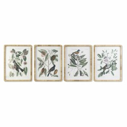 Quadro DKD Home Decor 50 x 2,5 x 65 cm Shabby Chic Piante botaniche (4 Pezzi)