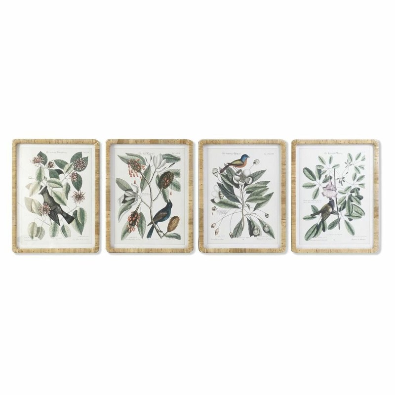 Pintura DKD Home Decor 50 x 2,5 x 65 cm Shabby Chic Plantas botânicas (4 Peças)