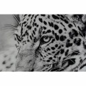 Quadro DKD Home Decor 100 x 2,5 x 100 cm Leopardo Coloniale (2 Unità)