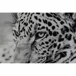 Quadro DKD Home Decor 100 x 2,5 x 100 cm Leopardo Coloniale (2 Unità)