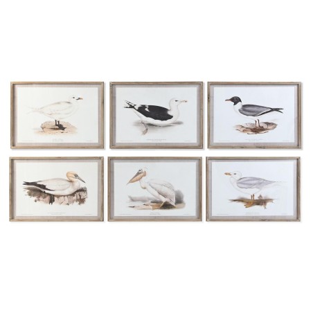 Pintura DKD Home Decor 70 x 2,5 x 50 cm Tradicional Pássaros (6 Peças)