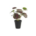 Planta Decorativa DKD Home Decor Cor de Rosa Verde PE (10 x 10 x 27 cm)