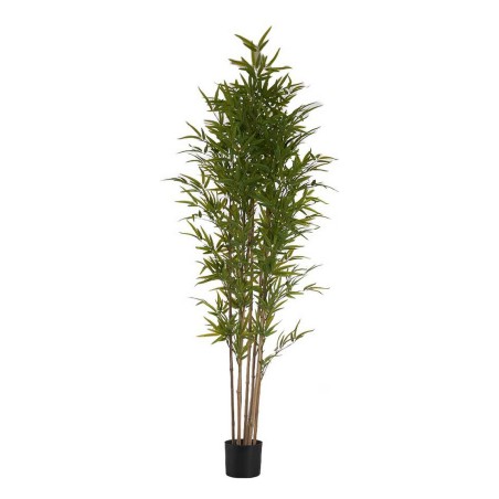 Plante décorative Ibergarden BRS-ADK111 Plastique Câble de fer Bambou 80 x 180 x 80 cm Plante décorative Ibergarden BRS-ADK111 Plastique Câble de fer Bambou 80 x 180 x 80 cm